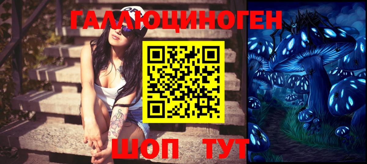 купить  цена  Вход с VPN  Саров  Псилоцибиновые грибы ЛСД 