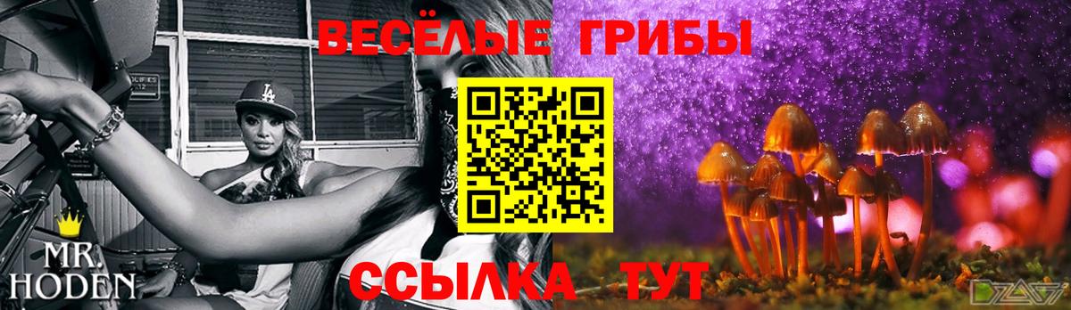 Галлюциногенные грибы прущие грибы Саров